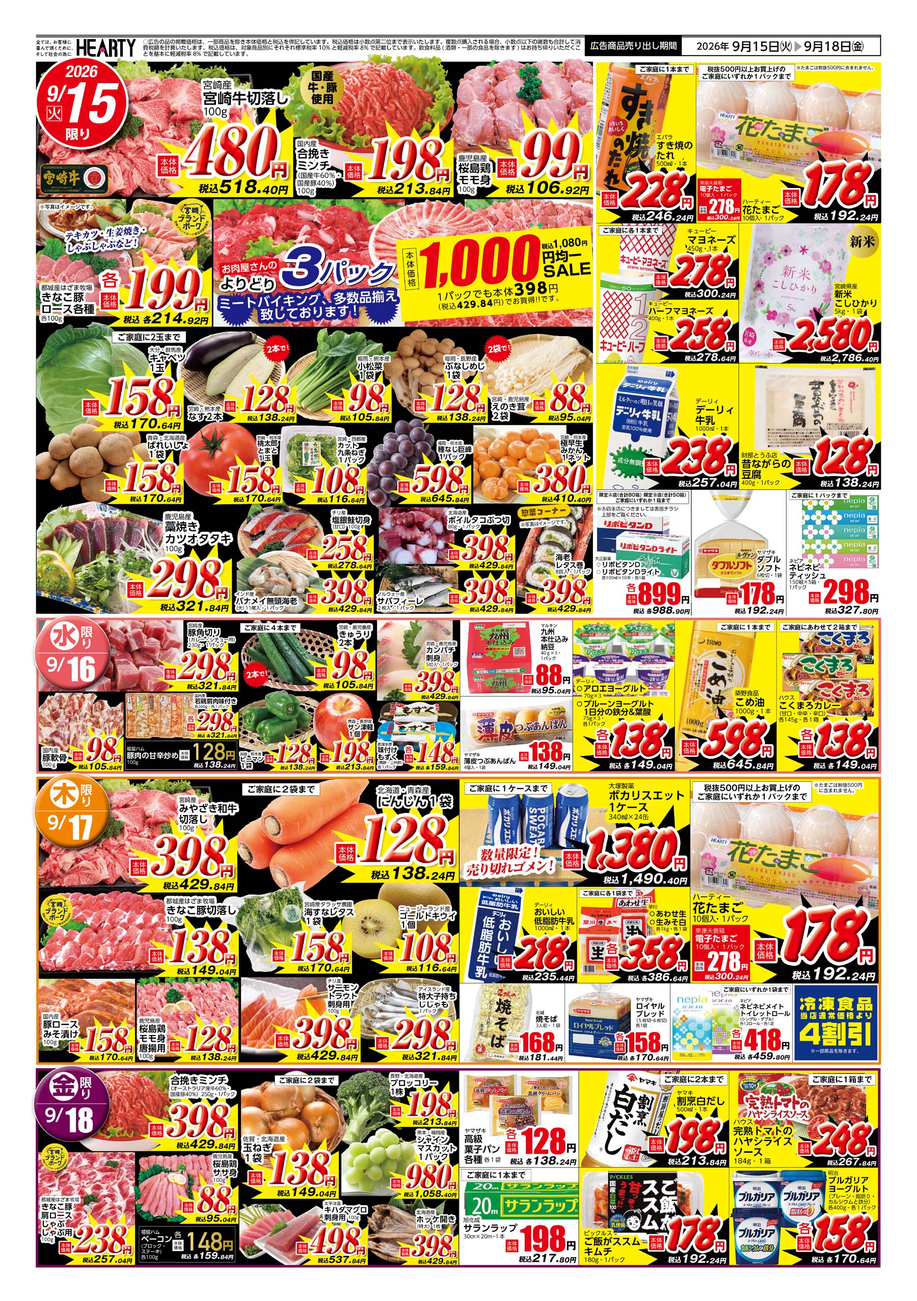 活動歴および当時の関連ビジュアル記録